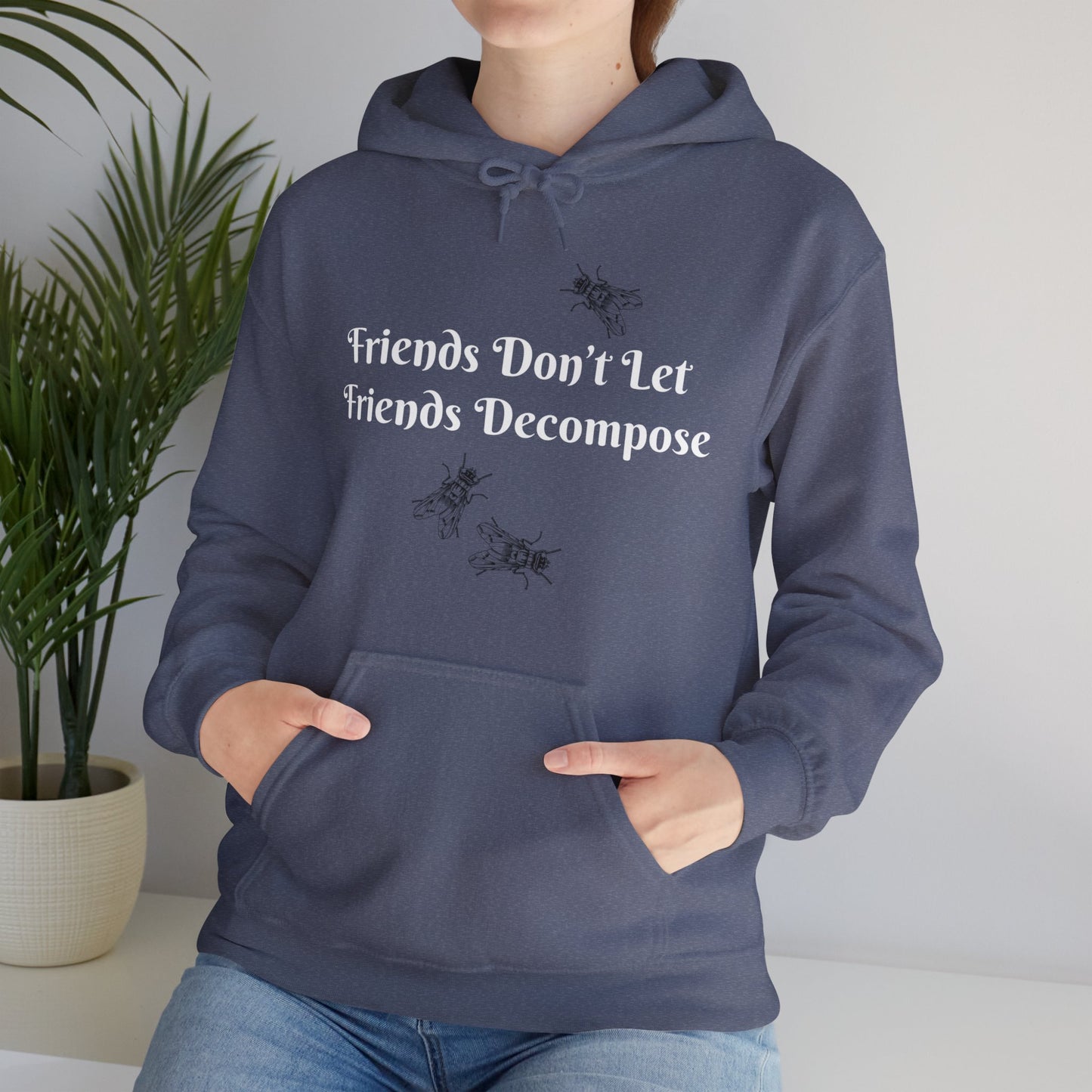 Hoodie - Sarcastic - Friends Don't Let Friends Decompose