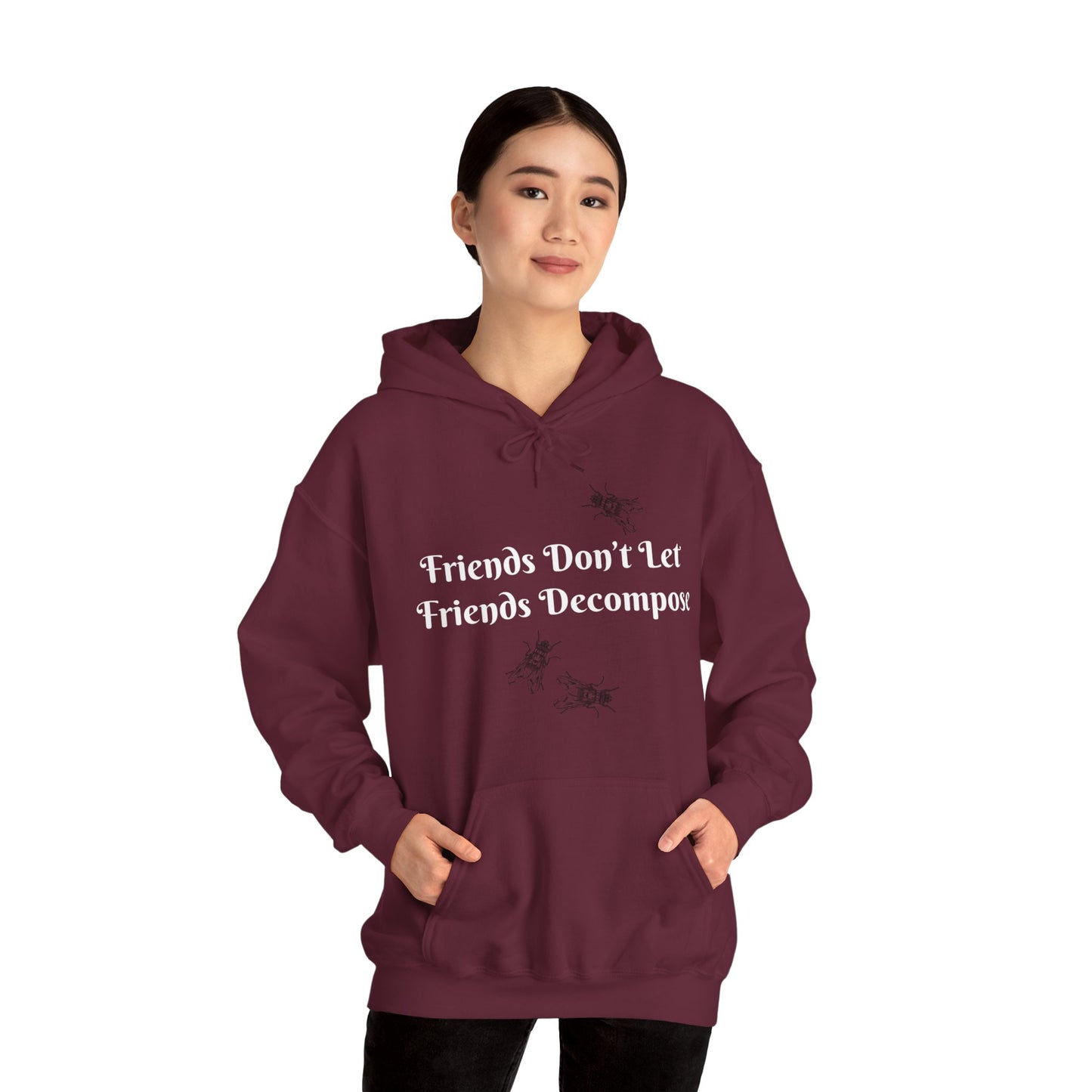 Hoodie - Sarcastic - Friends Don't Let Friends Decompose