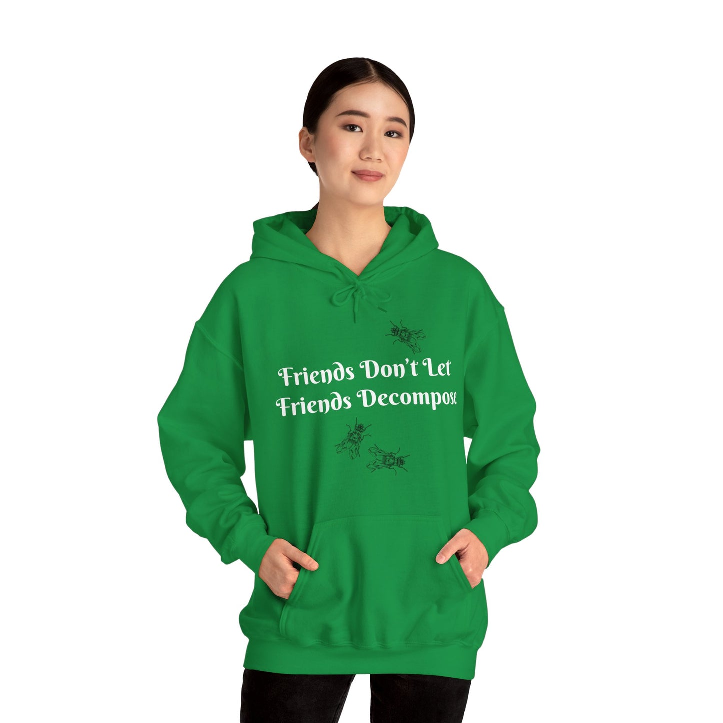 Hoodie - Sarcastic - Friends Don't Let Friends Decompose