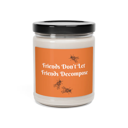 Candle - Sarcastic - Friends Don't Let Friends Decompose - Soy Candle, 9oz