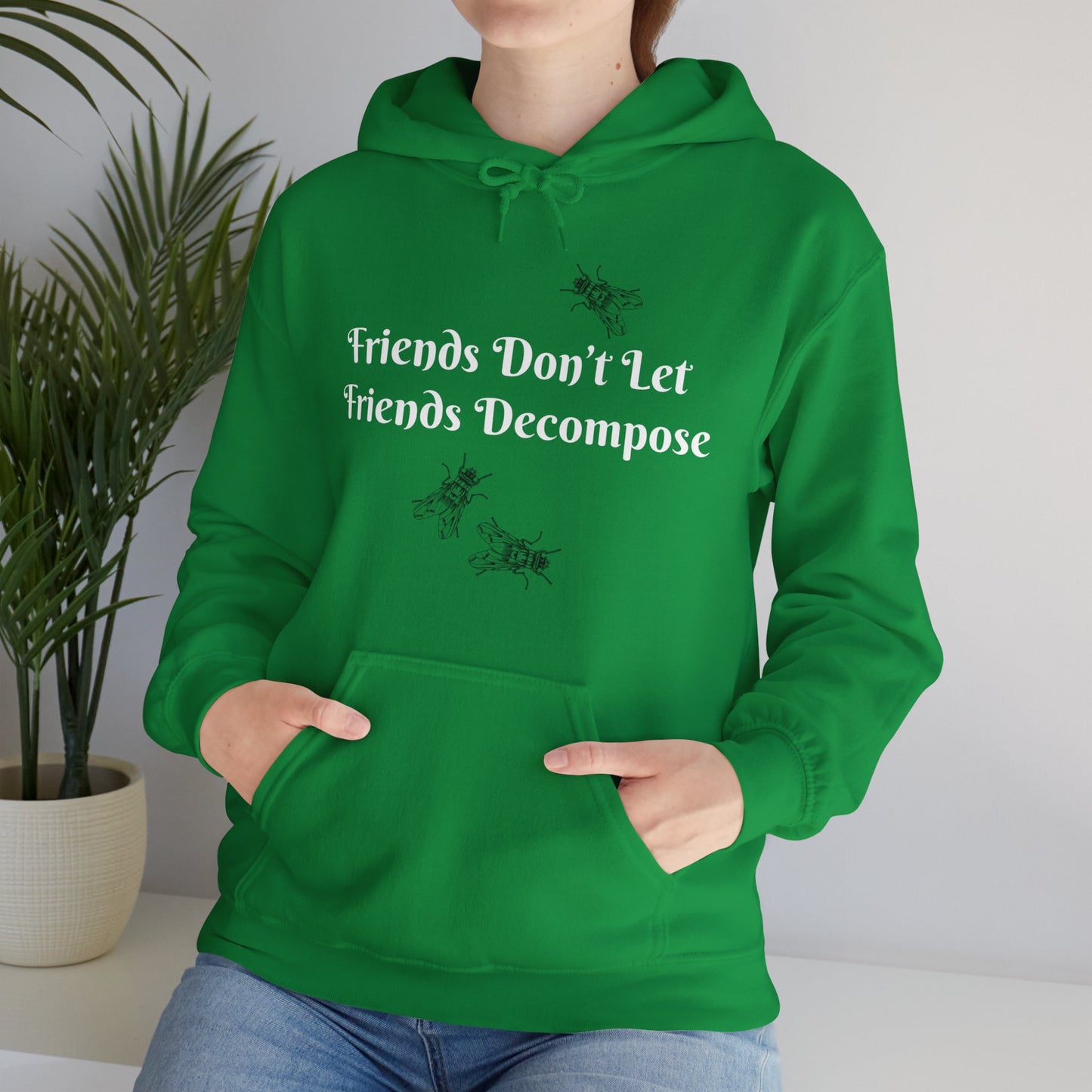 Hoodie - Sarcastic - Friends Don't Let Friends Decompose