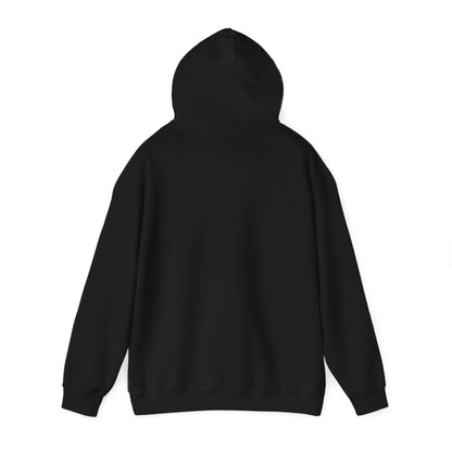 Hoodie - Sarcastic - What Percentage of People Actually Die - 100%