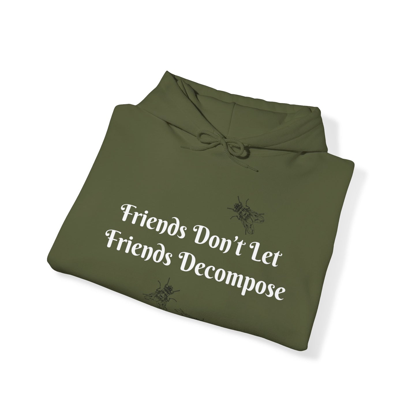 Hoodie - Sarcastic - Friends Don't Let Friends Decompose