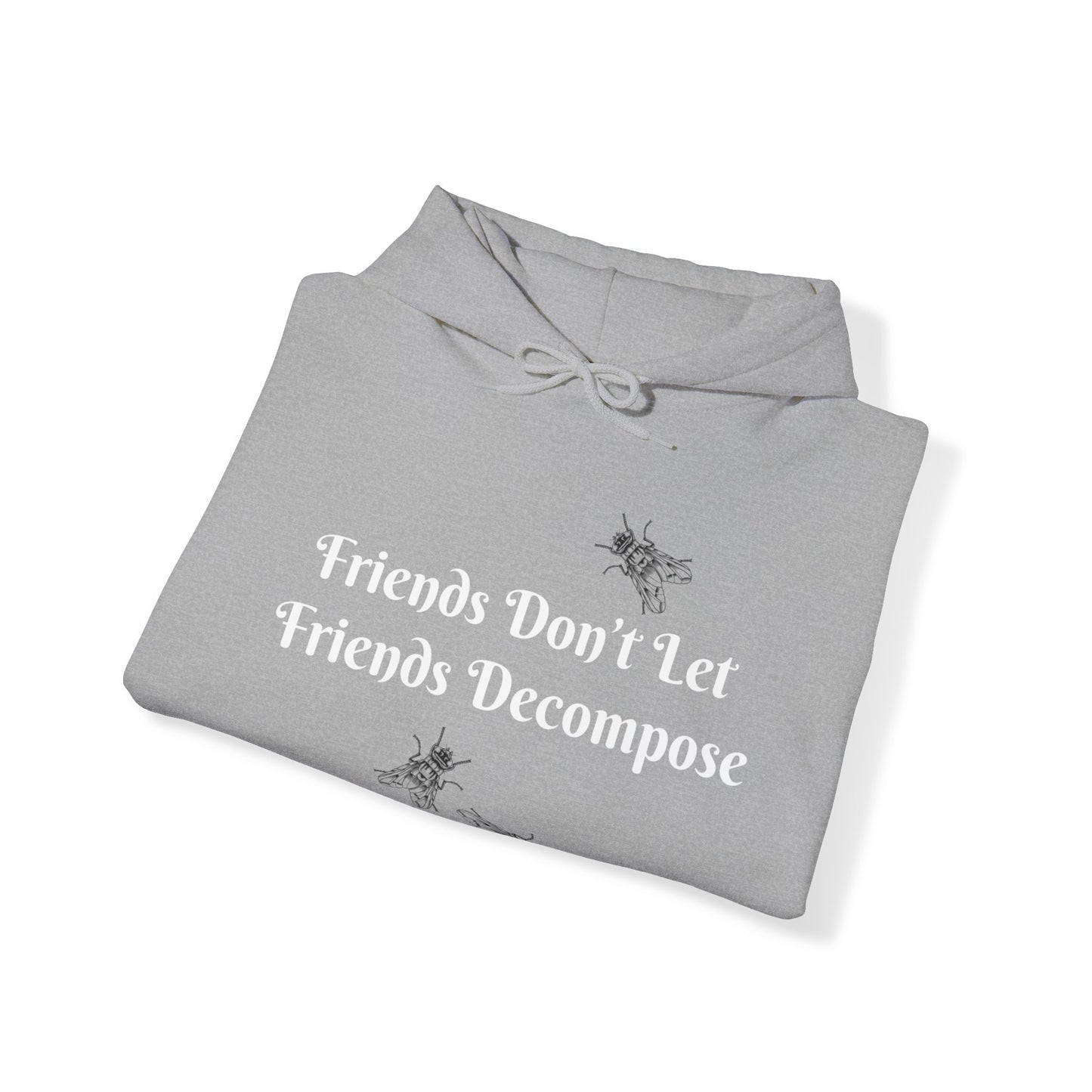 Hoodie - Sarcastic - Friends Don't Let Friends Decompose