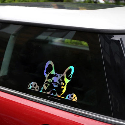 Vehicle Accessories - Pet Lover - Car Sticker - Dog Decals