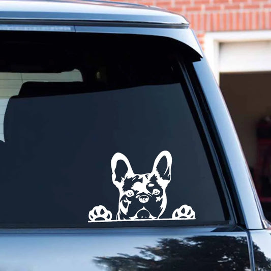 Vehicle Accessories - Pet Lover - Car Sticker - Dog Decals