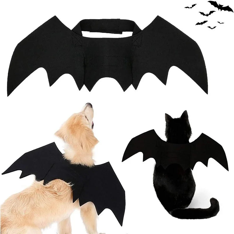 Pet Lover - Halloween Costume - Pet - Cat - Dog