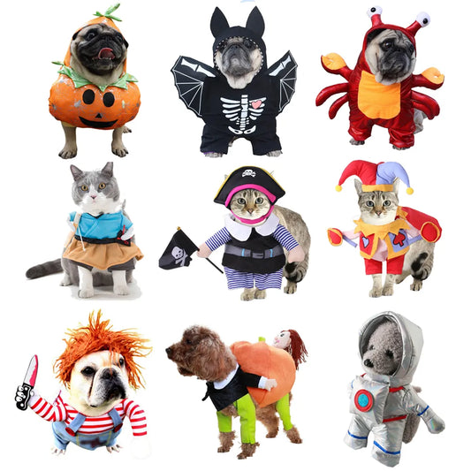 Pet Lovers - Halloween Costume - Fun Dog or Cat Costumes