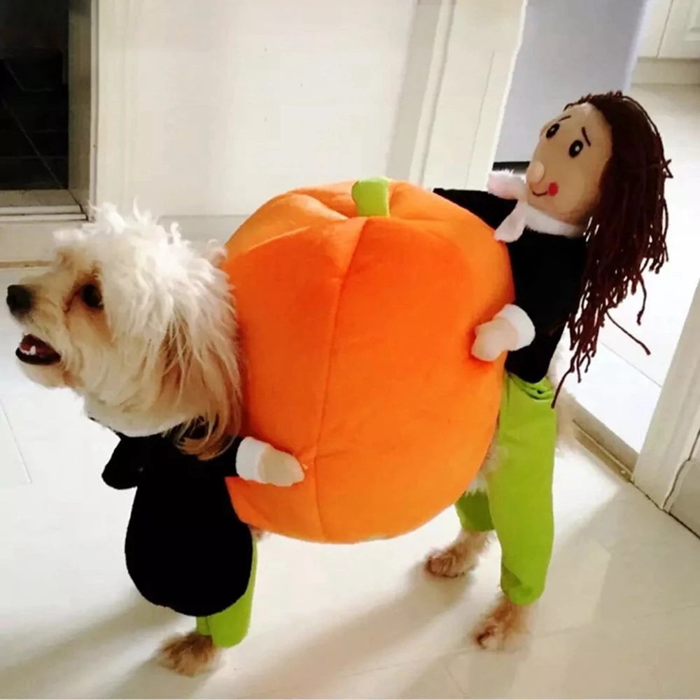 Pet Lovers - Halloween Costume - Fun Dog or Cat Costumes